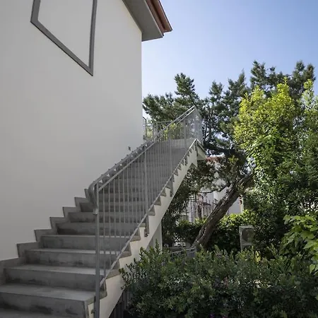 Ari - Lentisco * San Vincenzo